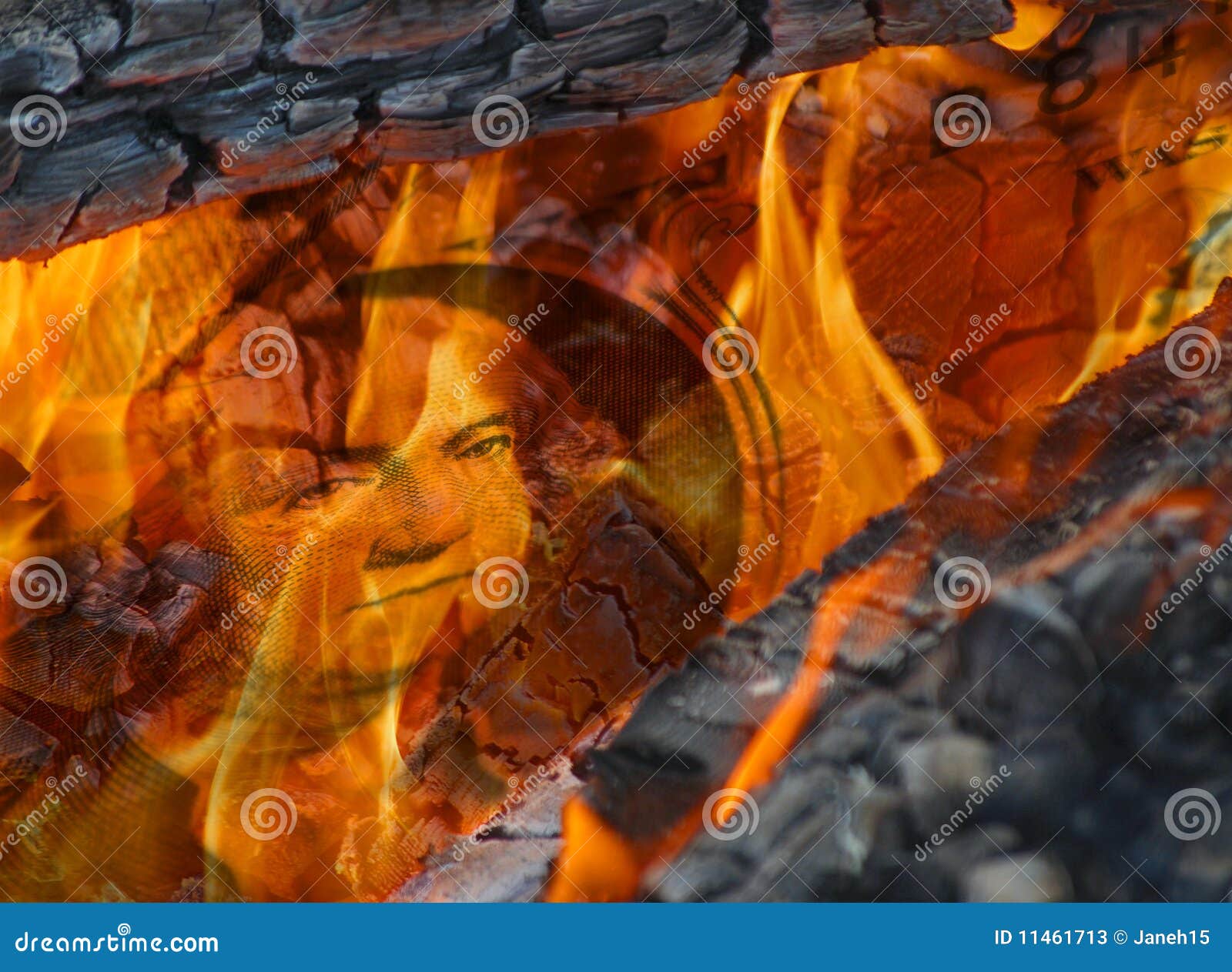 Money to burn stock image. Image of cash, flames, market - 11461713