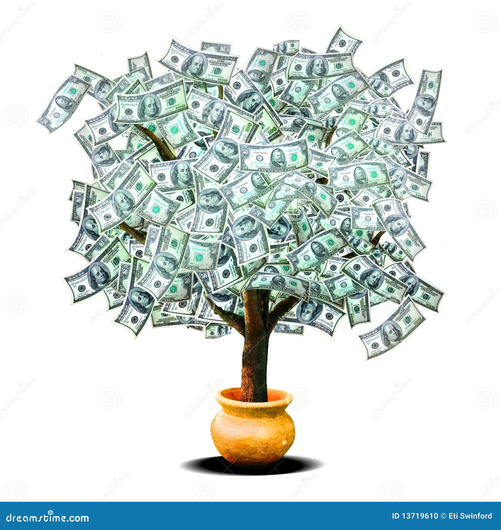 Money Tree Stock Photo - Image: 13719610
