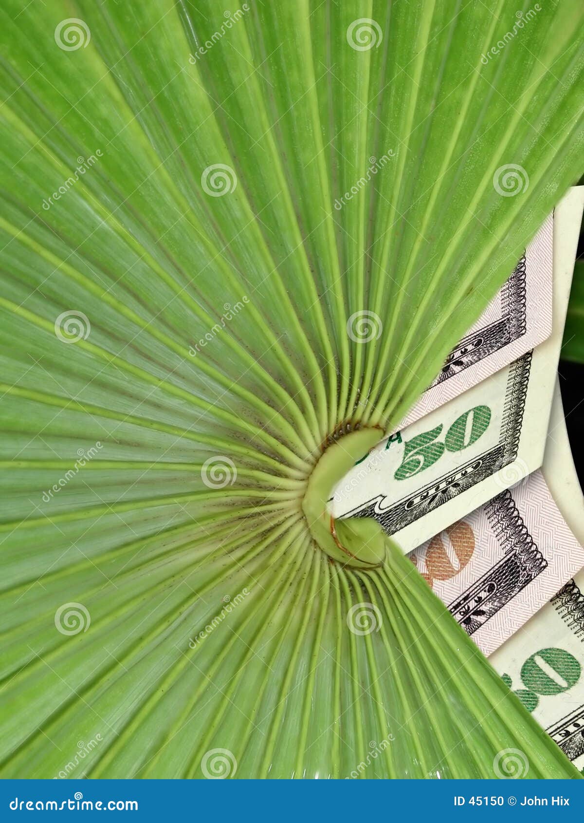 online odsp payday loans canada