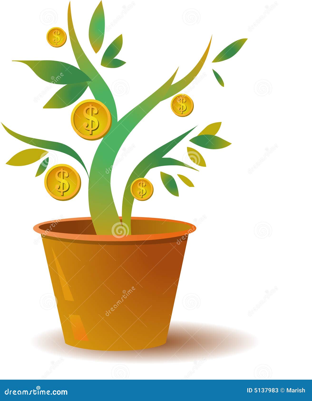 money tree