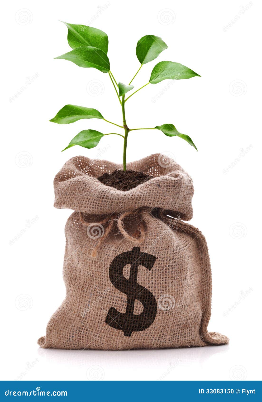 https://thumbs.dreamstime.com/z/money-tree-bag-dollar-sign-growing-out-top-isolated-white-33083150.jpg