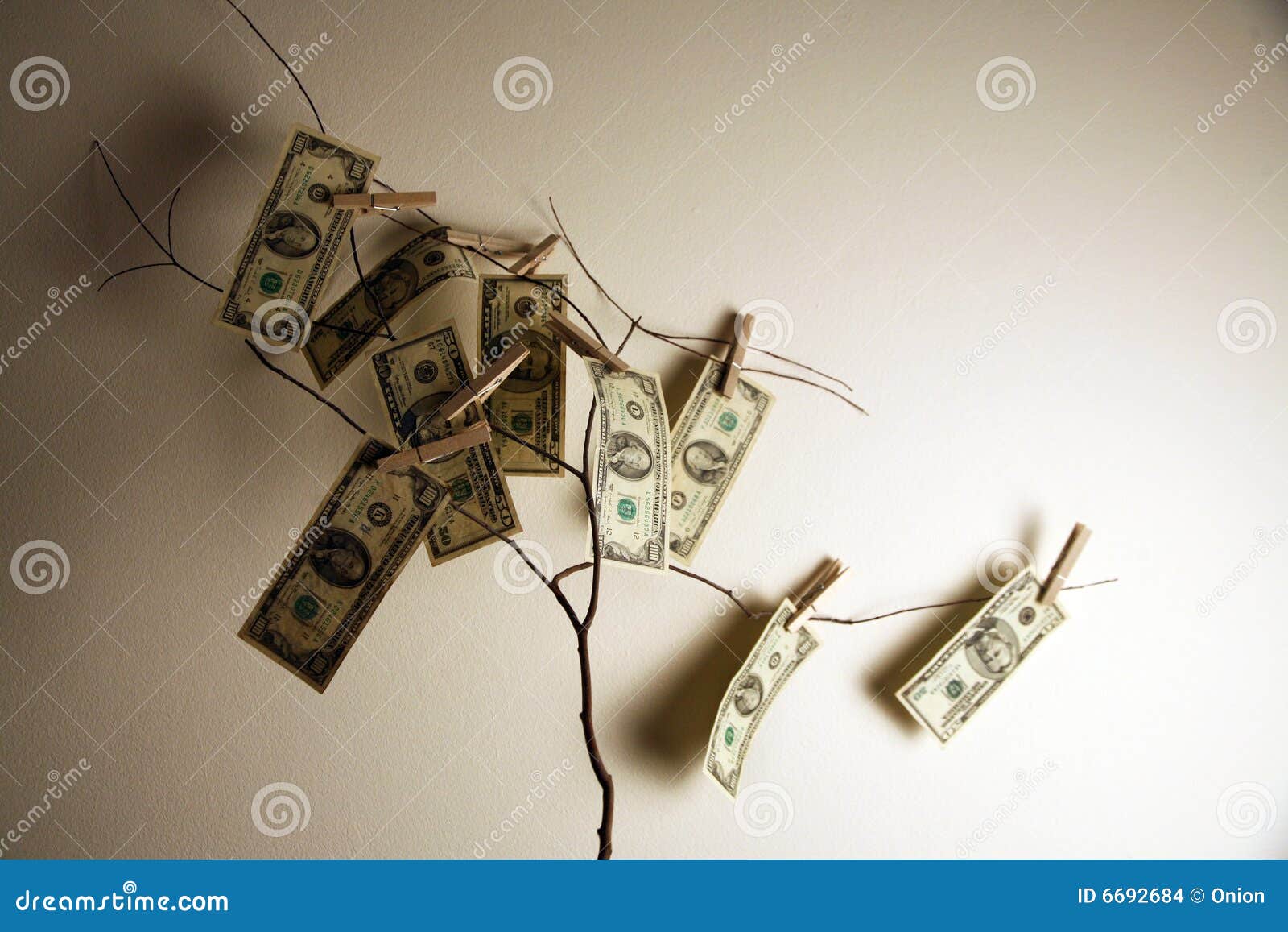 Money on a tree branch stock photo. Image of hang, paper 6692684