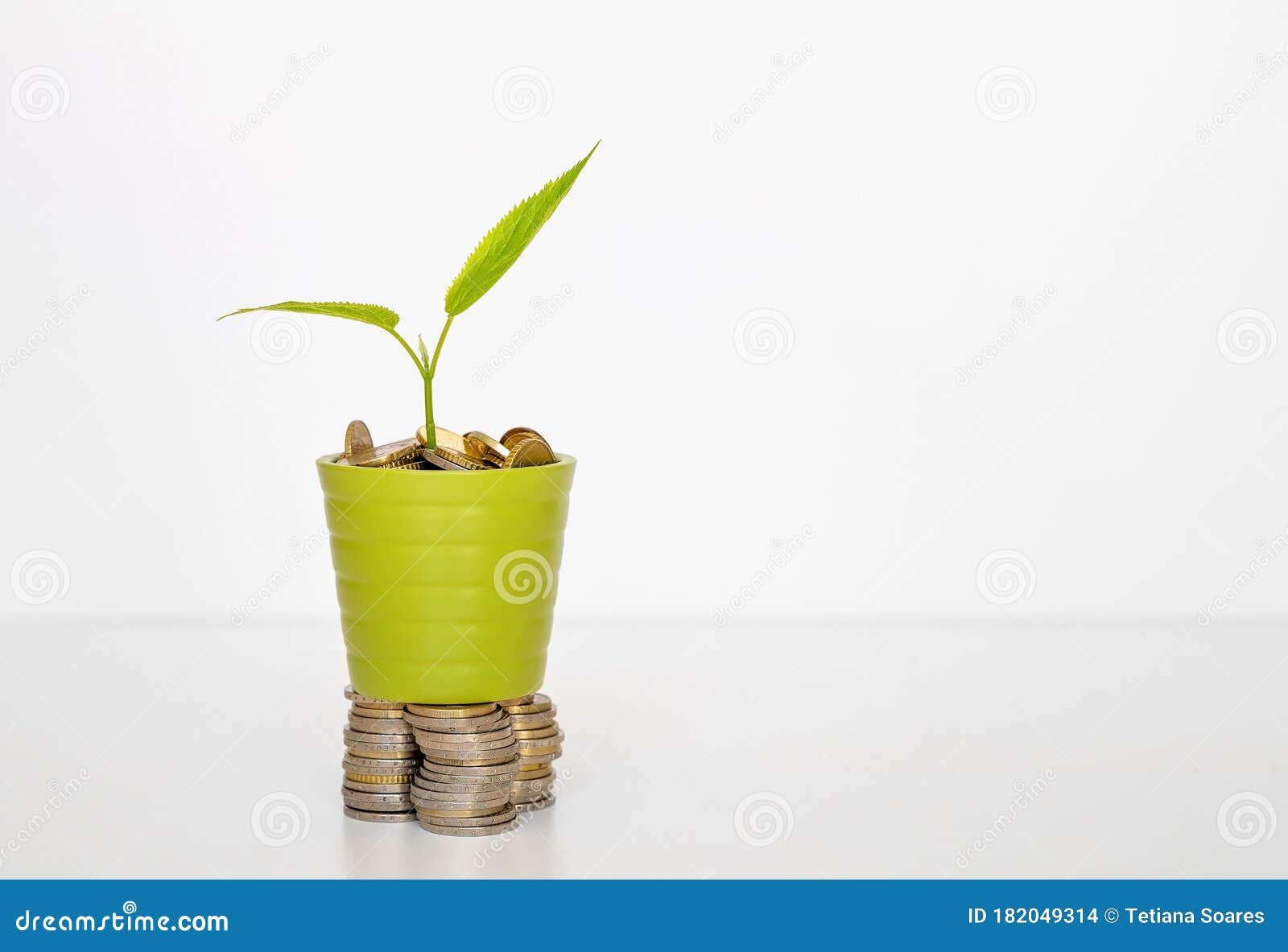 Money Tree. Business Growth, Development and Investment Concept Stock ...