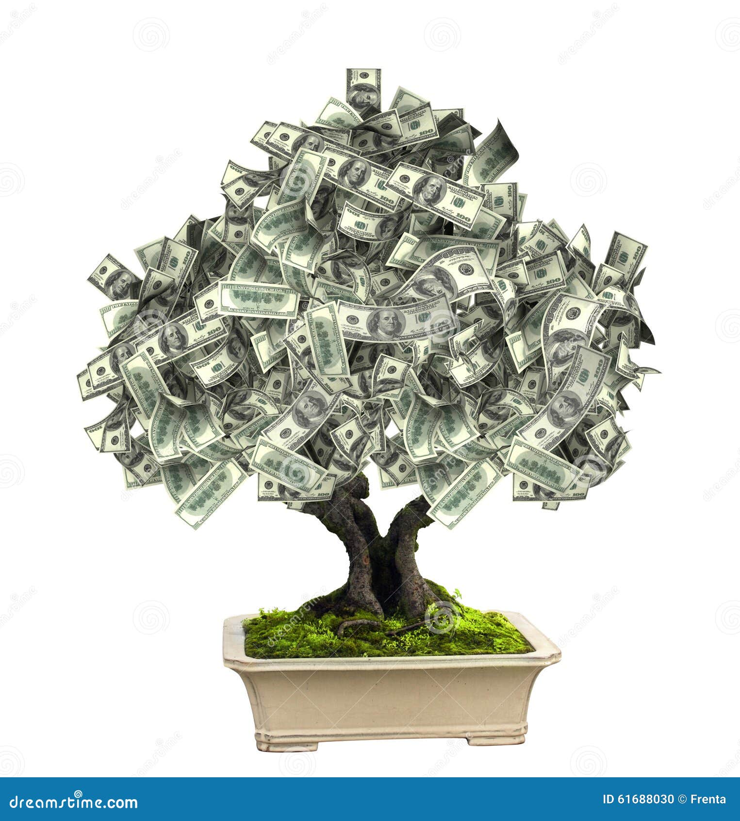 Money Tree with Dollar Banknotes Stock Photo - Image of green ...