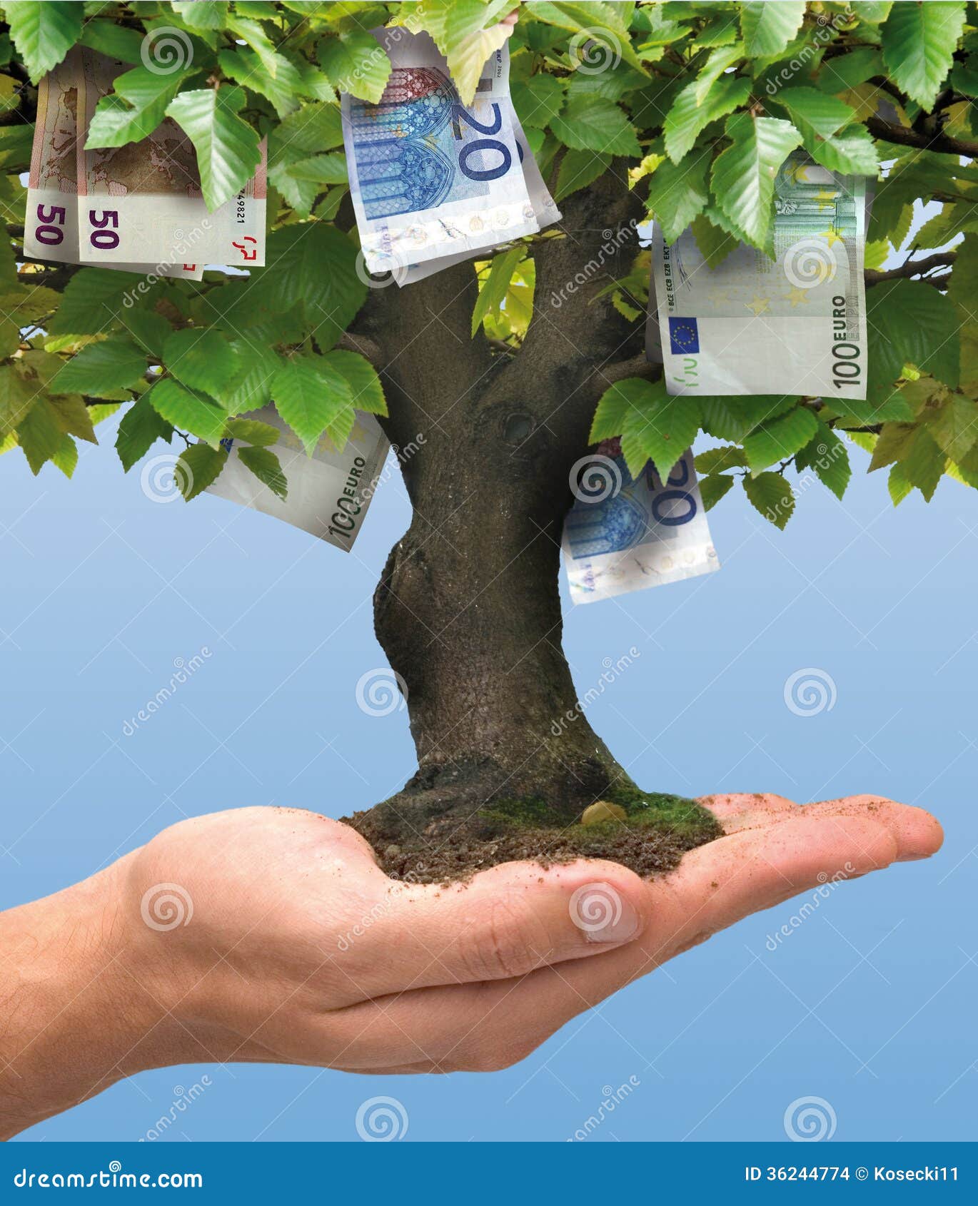 money tree - euro
