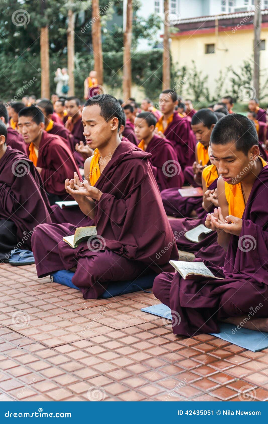 Kushalnagar, Índia - 25 de junho de 2009 - monges budistas que leem o scripture no monastério em Kushalnagar, Índia 25 de junho de 2009