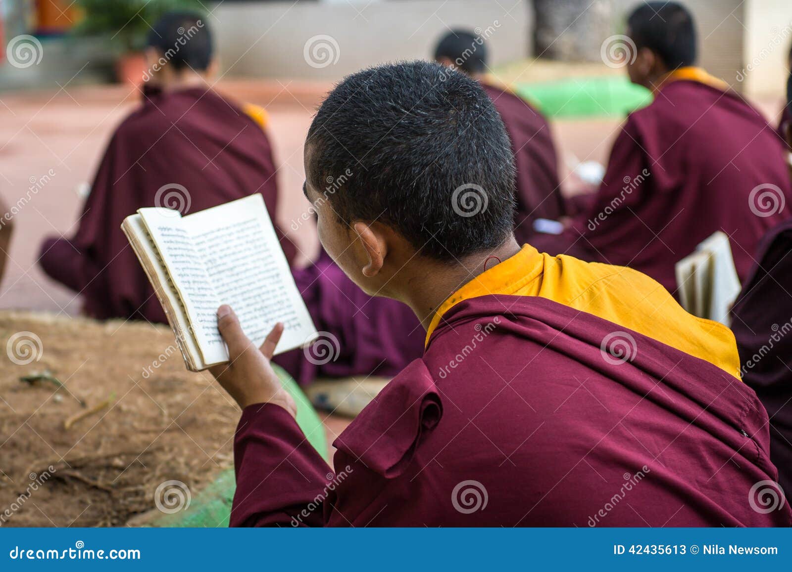 Kushalnagar, Índia - 25 de junho de 2009 - monges budistas que leem o scripture no monastério em Kushalnagar, Índia 25 de junho de 2009