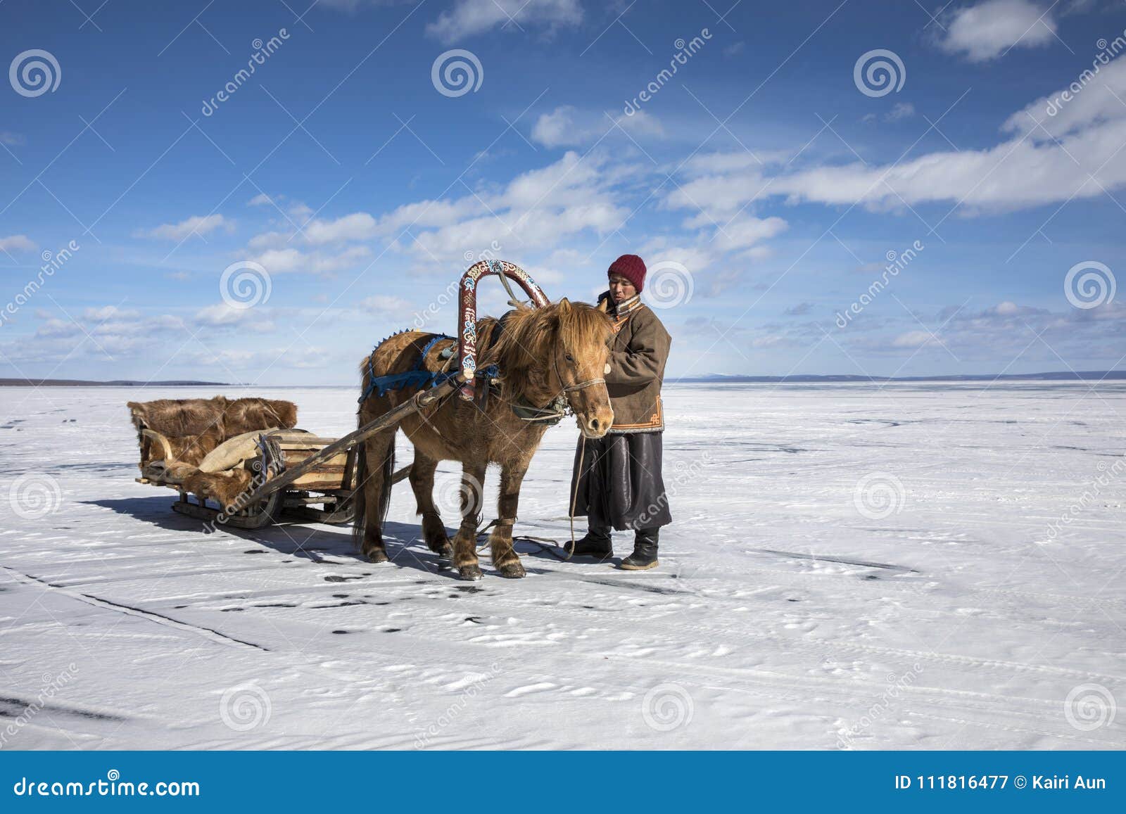 mongolian man with his horse sledge on frozen lake khovsgol