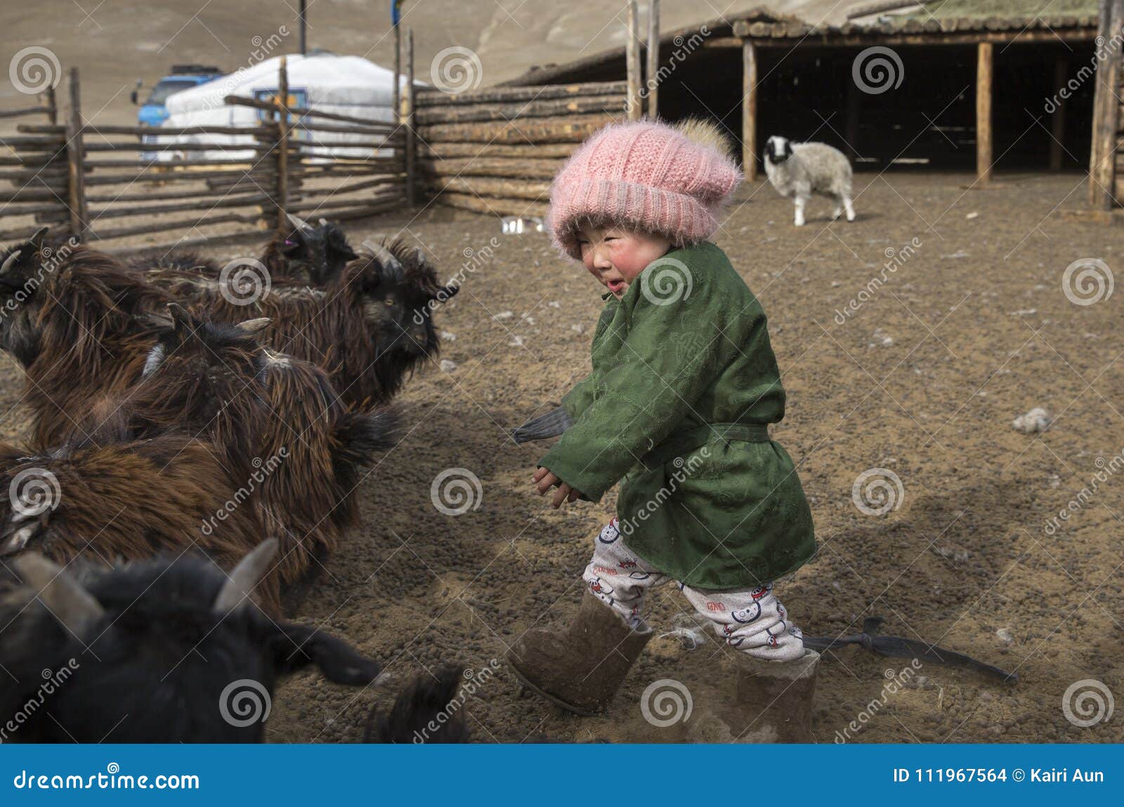 Mongolian Nomad Kid at Their Animal Closure in a Steppe of Northern Mongolia Editorial Stock Image - Image of animal, ethinic: 111967564 Mongolian Nomad Kid at Their Animal Closure in a Steppe of Northern Mongolia Editorial Stock Image - Image of animal, ethinic: 111967564