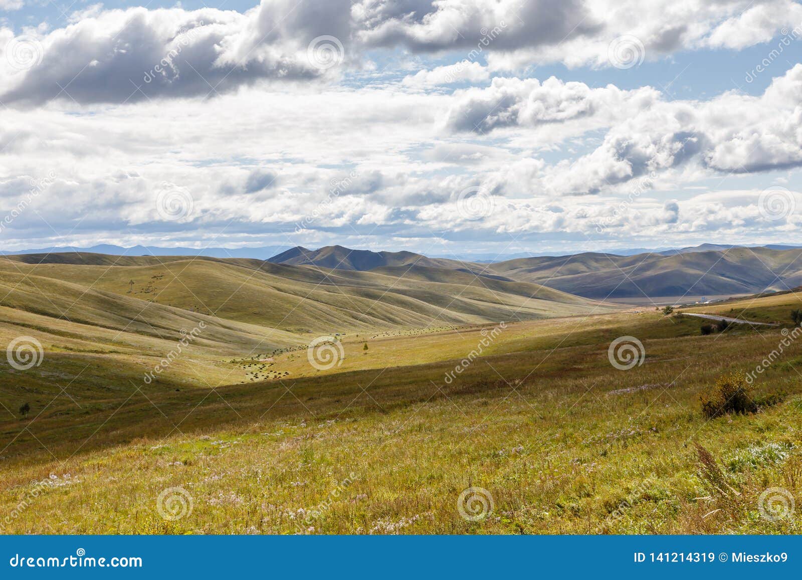Mongolian Steppe with Grassland Stock Image - Image of indigenous, beauty:  141214319