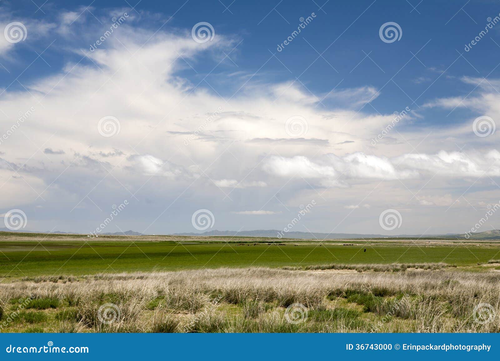 Mongolian Steppes Stock Photo Image Of Distance Golden 36743000