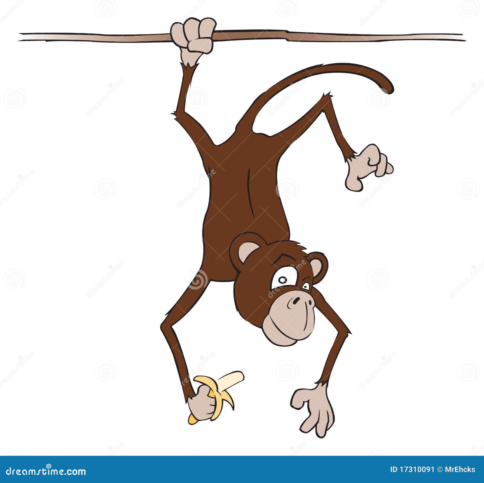 Curious Monkey Stock Illustrations – 1,433 Curious Monkey Stock  Illustrations, Vectors & Clipart - Dreamstime