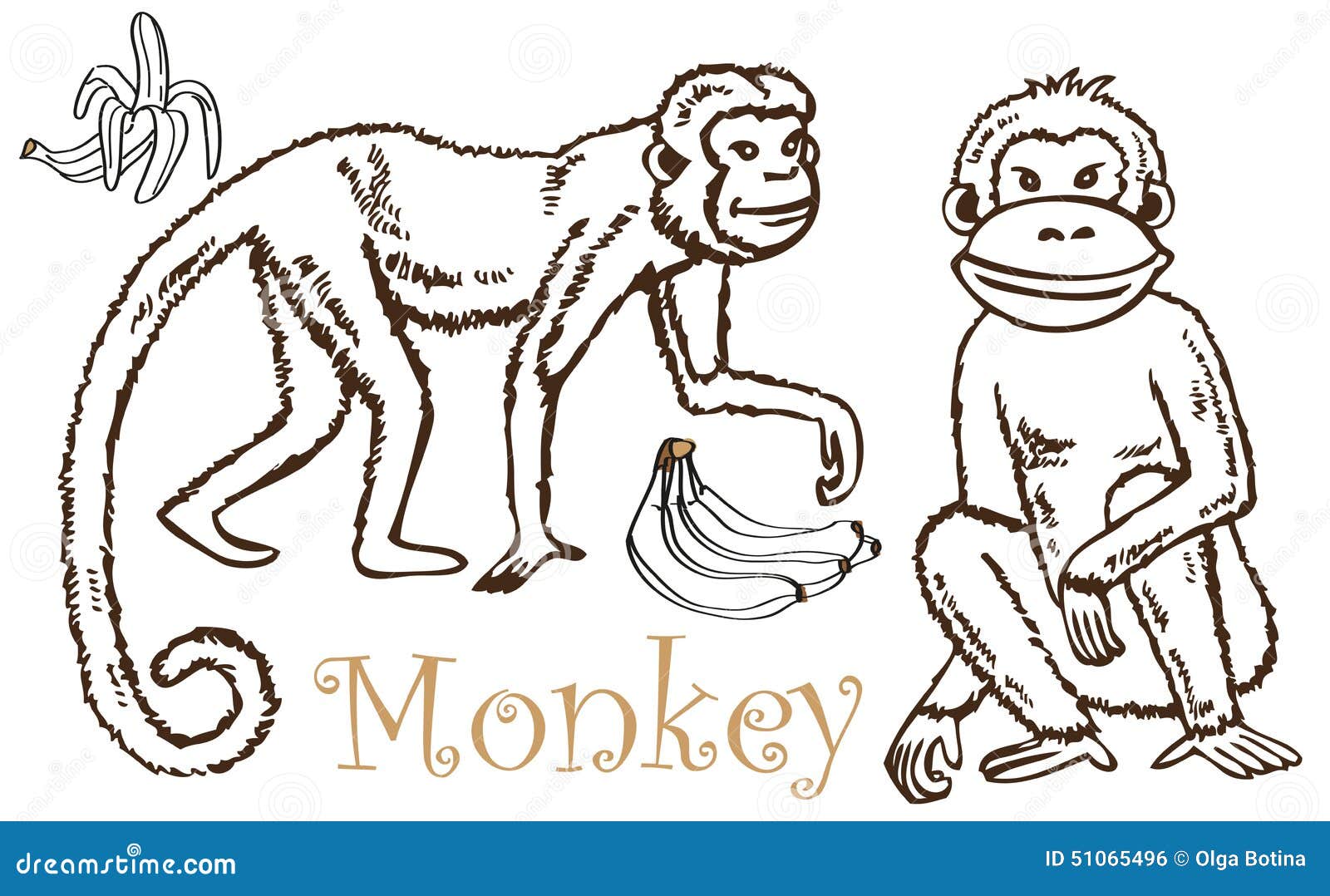 Monkey And Bananas Drawing Vector Illustration