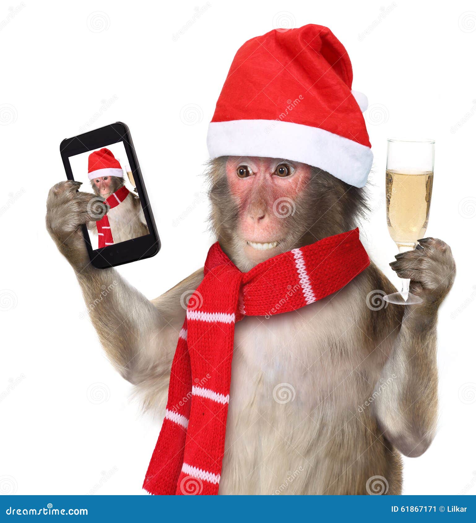 Monkey With Christmas Santa Hat Taking A Selfie Stock 