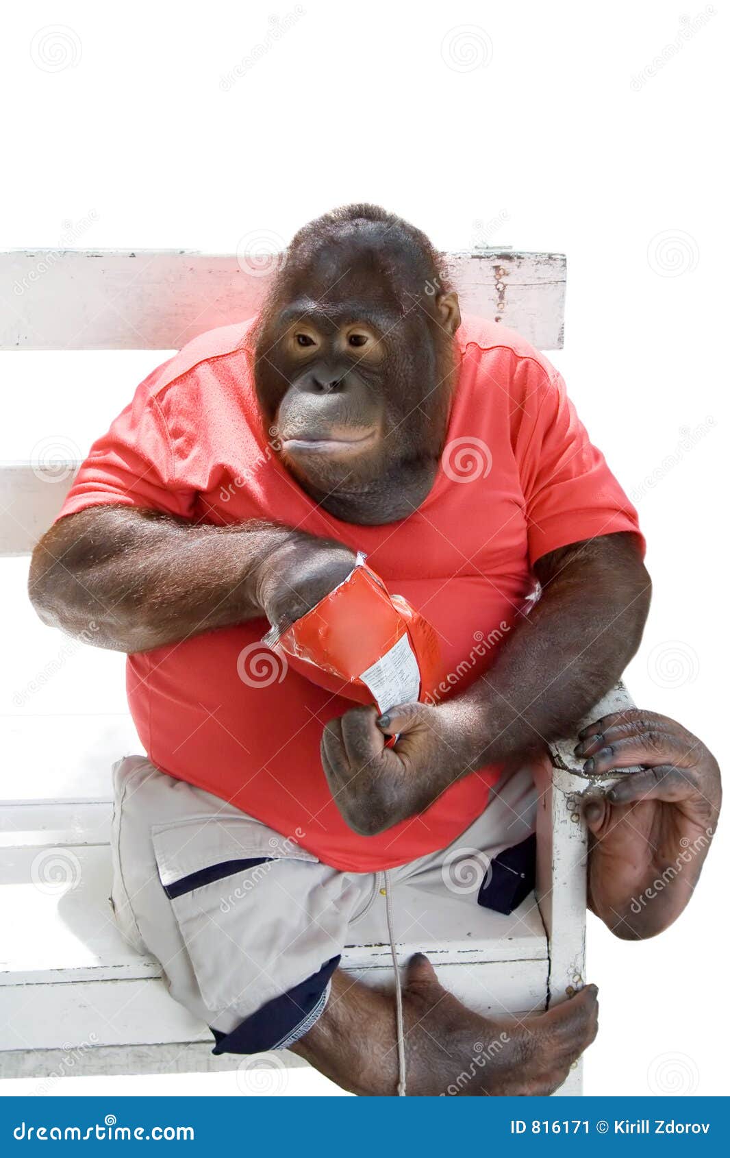 Monkey Eating Chips Stock Image - Image: 816171