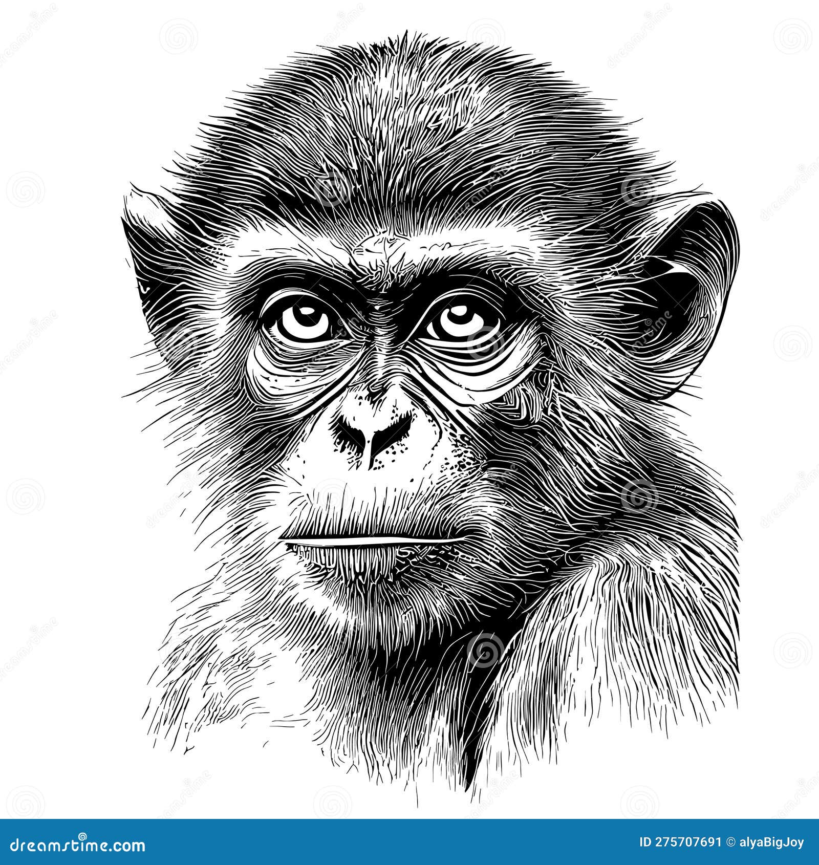 Sketch monkey face hand drawn doodle Royalty Free Vector