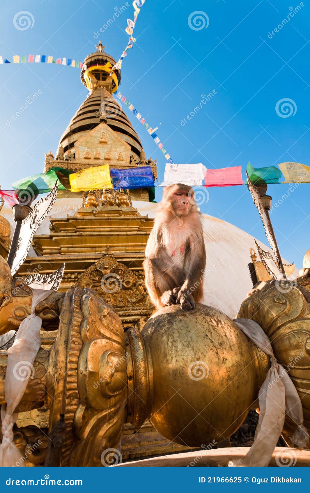 Monkey in front of Monkey Temple in Kathmandu Nepal