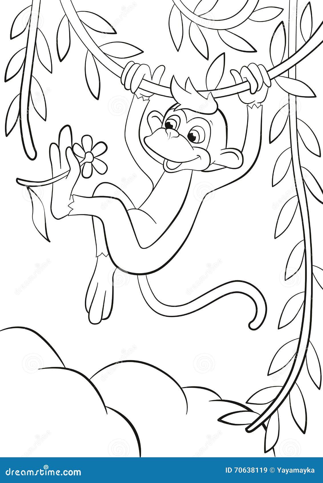 rain forest coloring pages spider monkey - photo #14