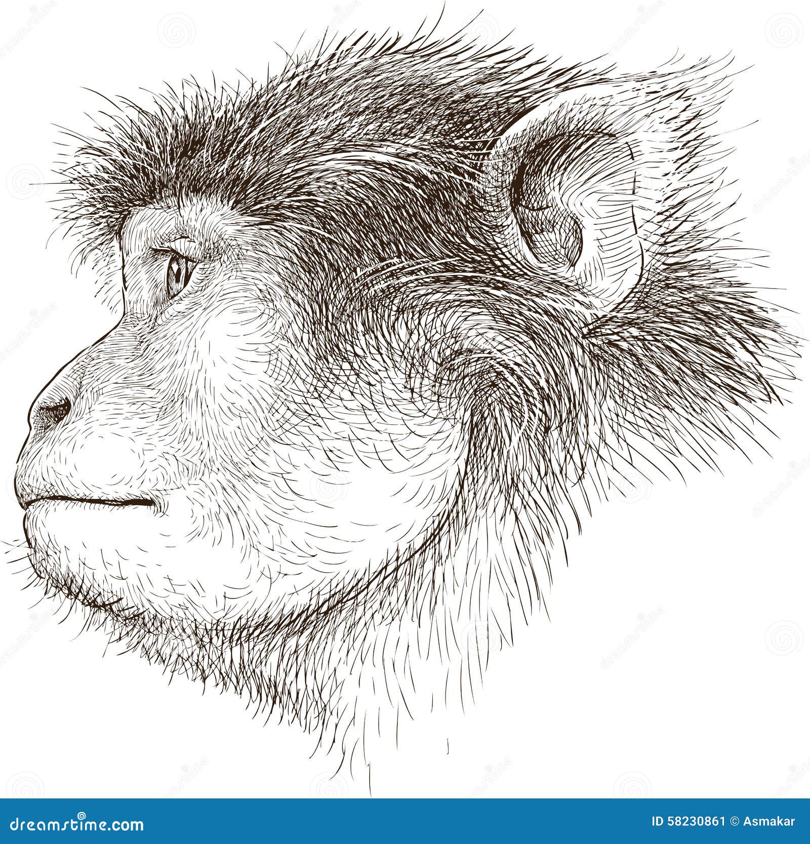 How to Draw a Monkey  Easy Drawing Art