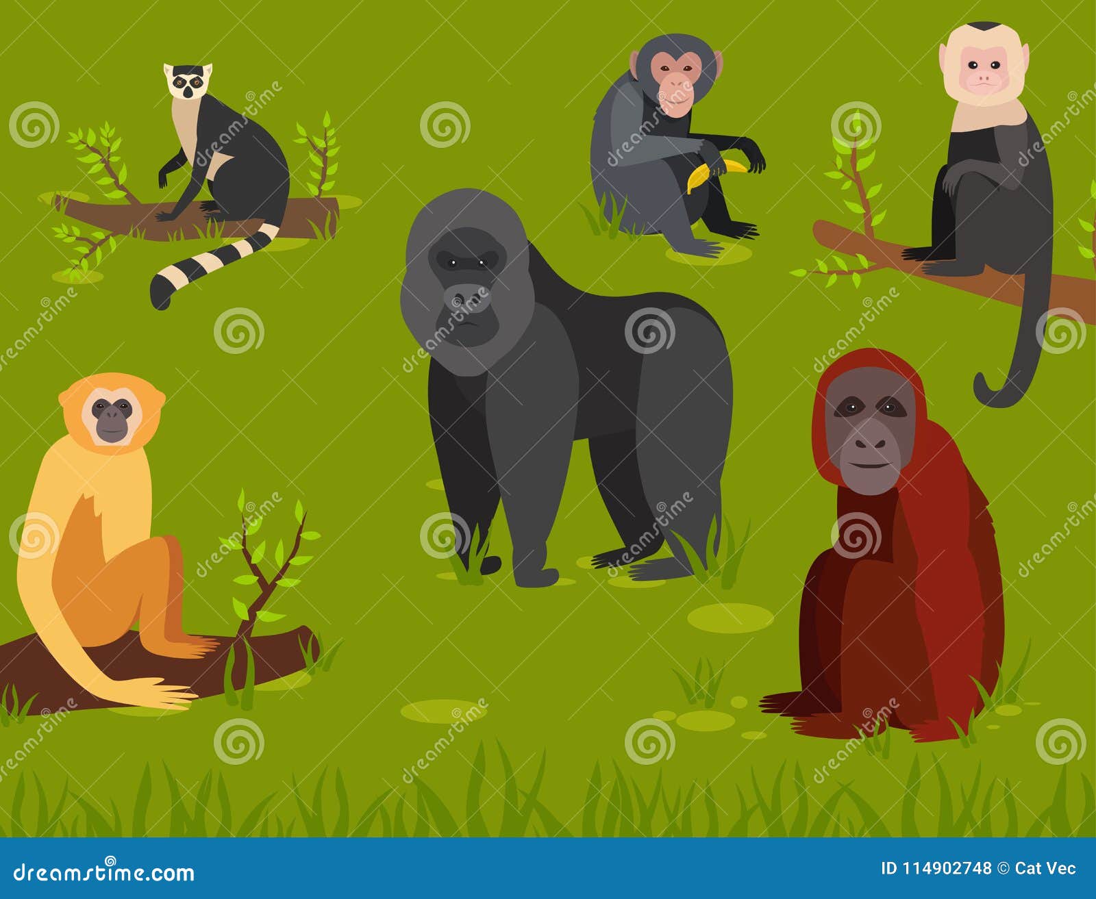 Banco de imagens : árvore, natureza, animal, fofa, animais selvagens,  jardim zoológico, selva, mamífero, fauna, Primata, macaco-esquilo, cara,  pequeno, vertebrado, adorável, Macaco velho mundo, macaco aranha, macaco  capuchinho, Novo mundo macaco