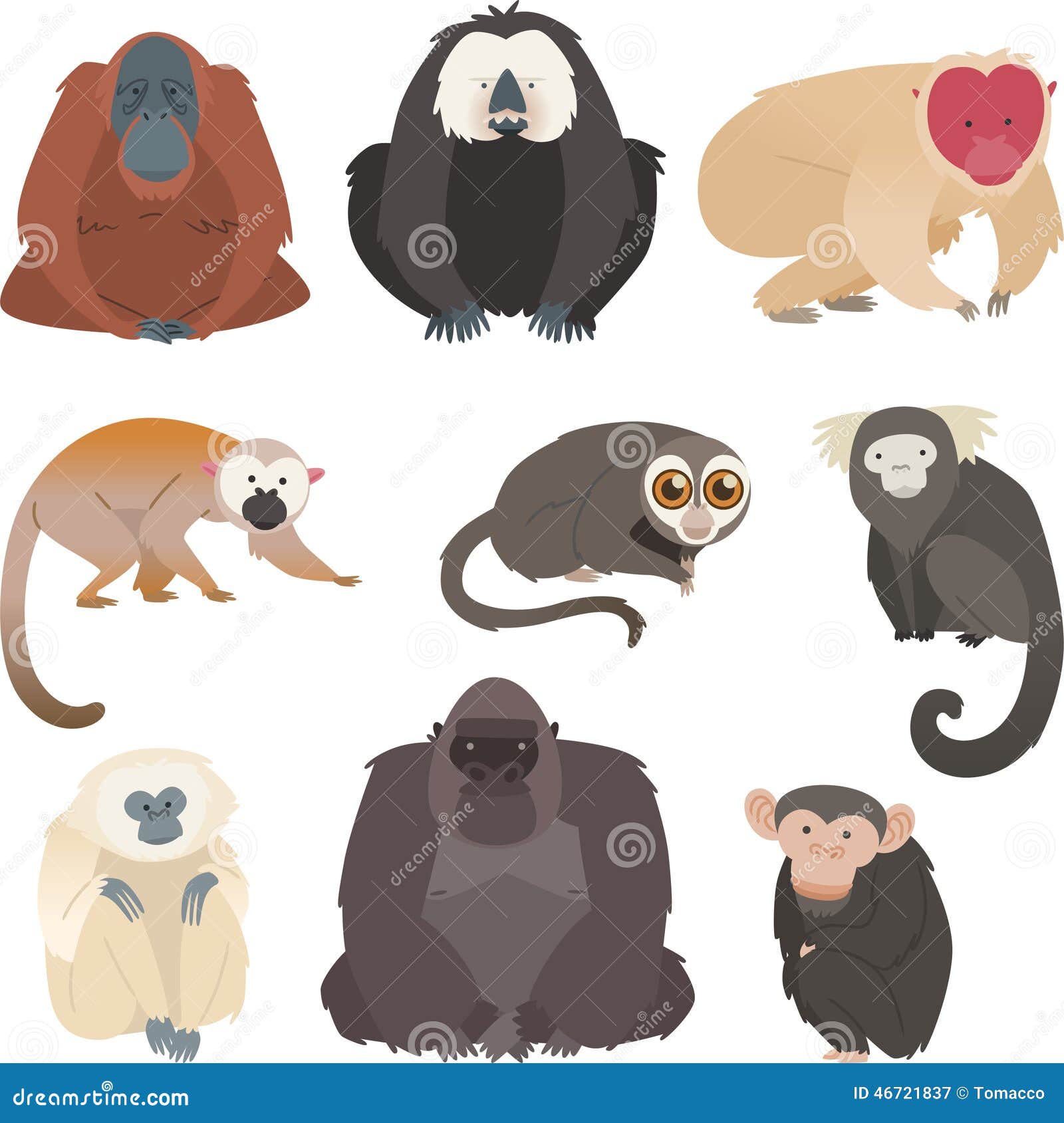 monkey and primate collection