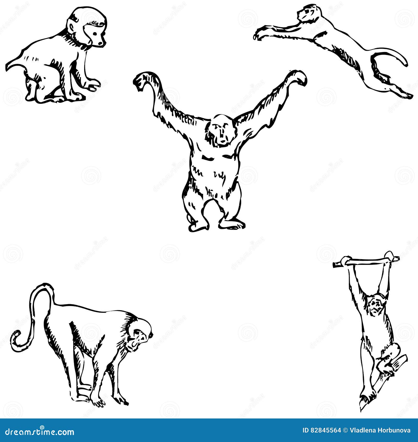 Monkey A Sketch By Hand Pencil Drawing Stock Vector