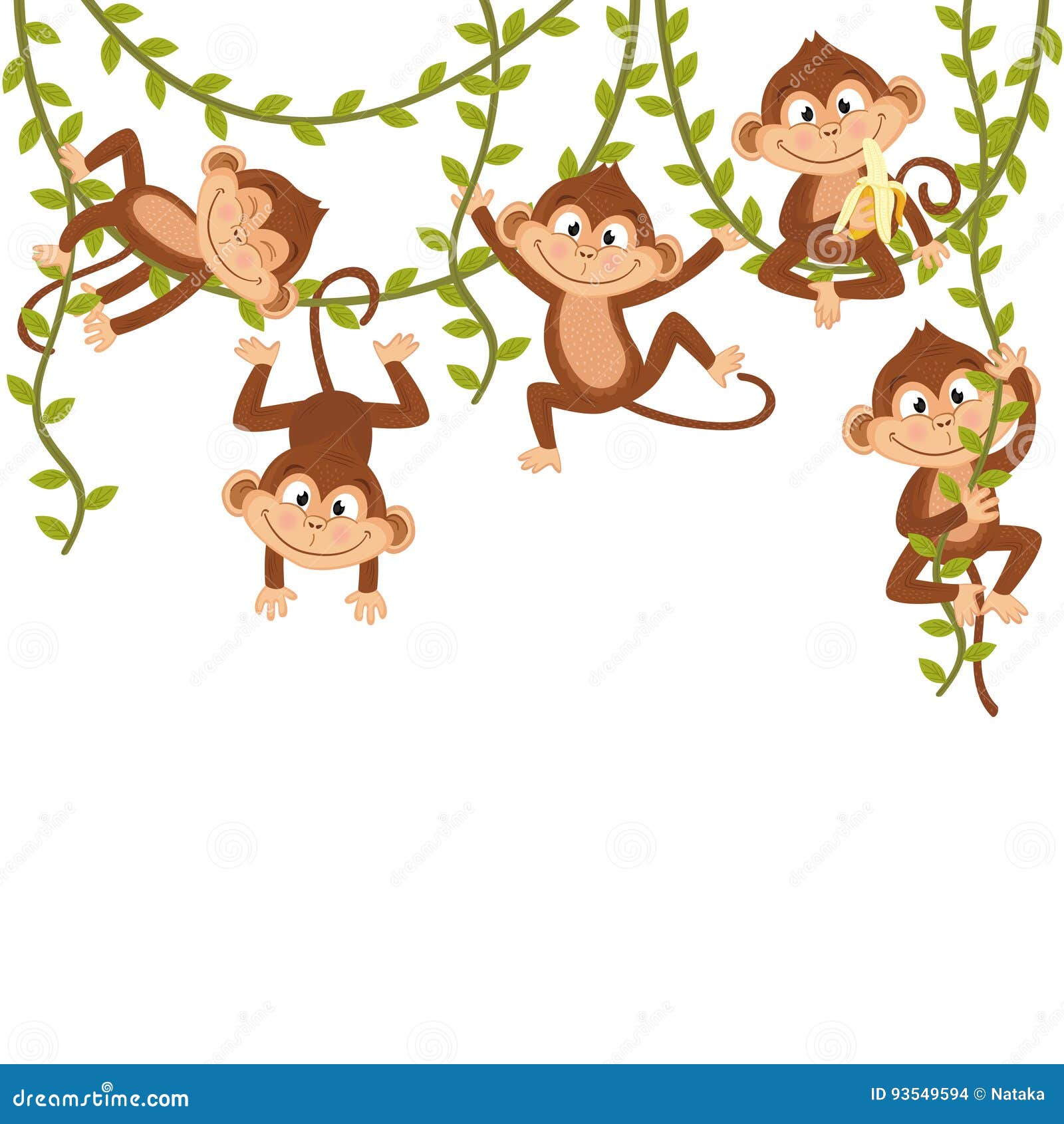 monkey on vine
