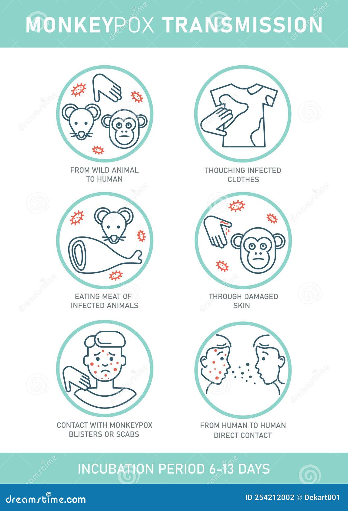 monkeypox virus transmision infographics with icons  on white background.