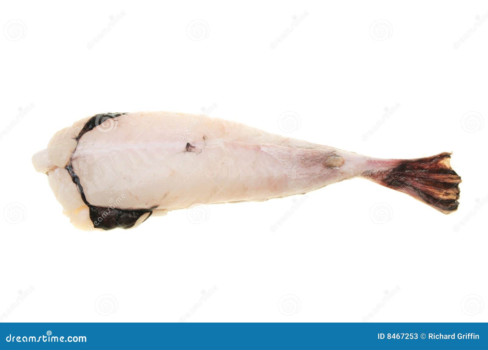 spanish monkfish spanish monkfish
