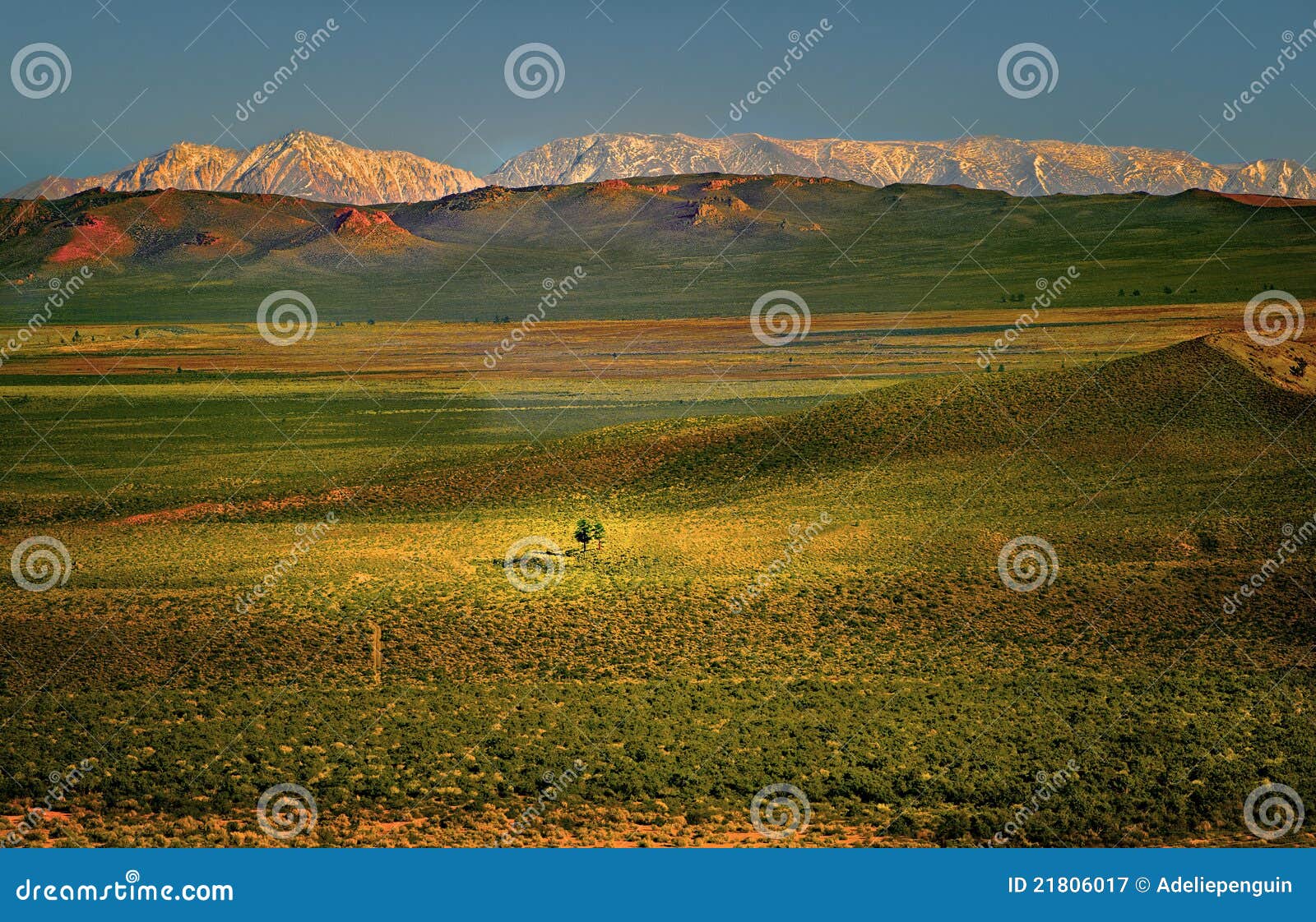 mono basin, snow-capped mountains, california