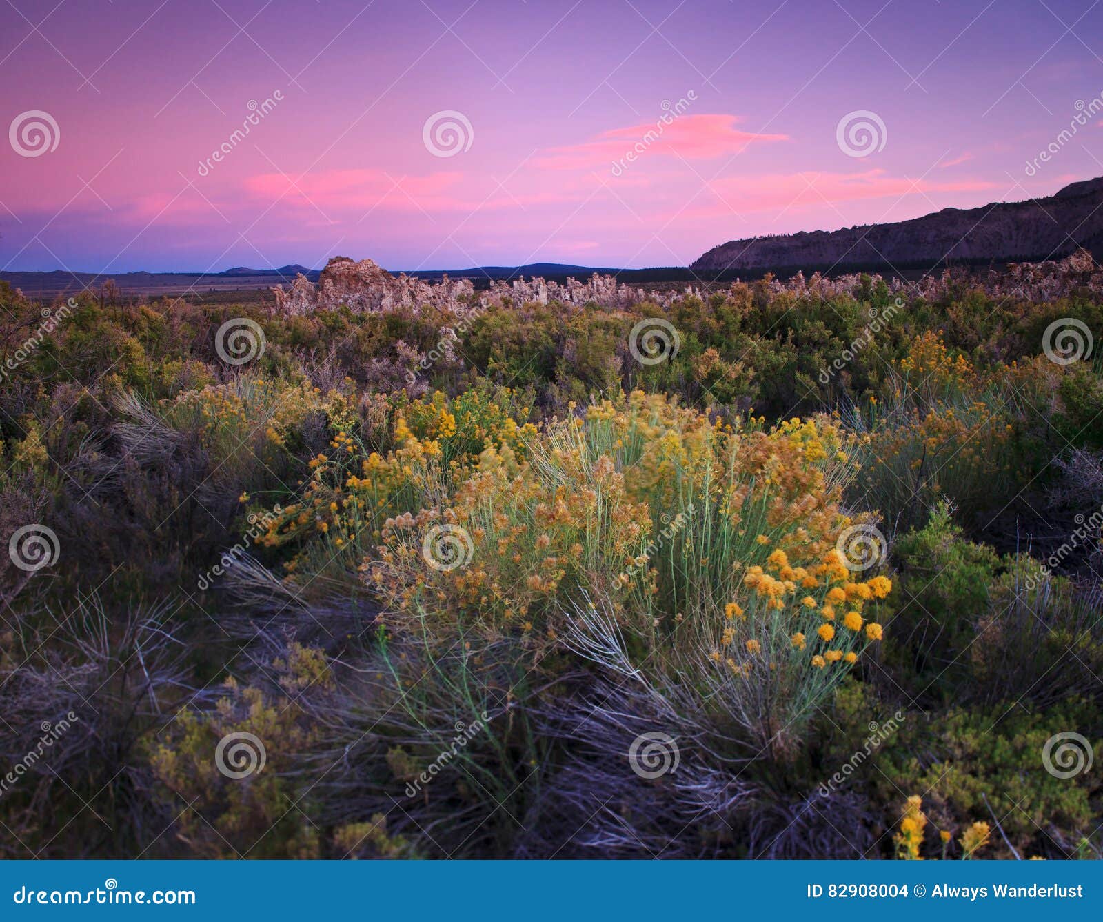 Mono Lake California stock photo. Image of sage, outdoor 82908004