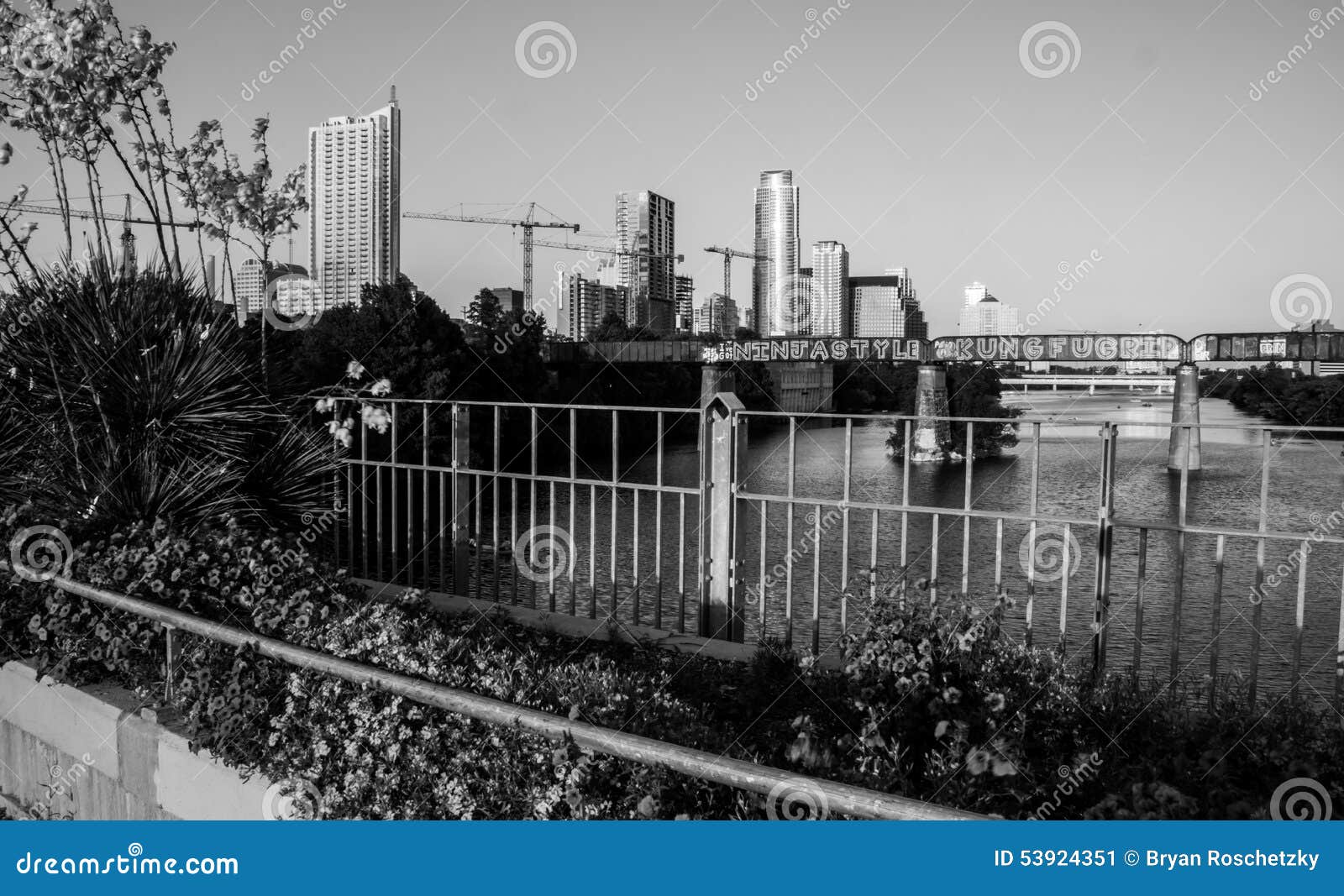 monochrome austin texas downtown over town lake bridges