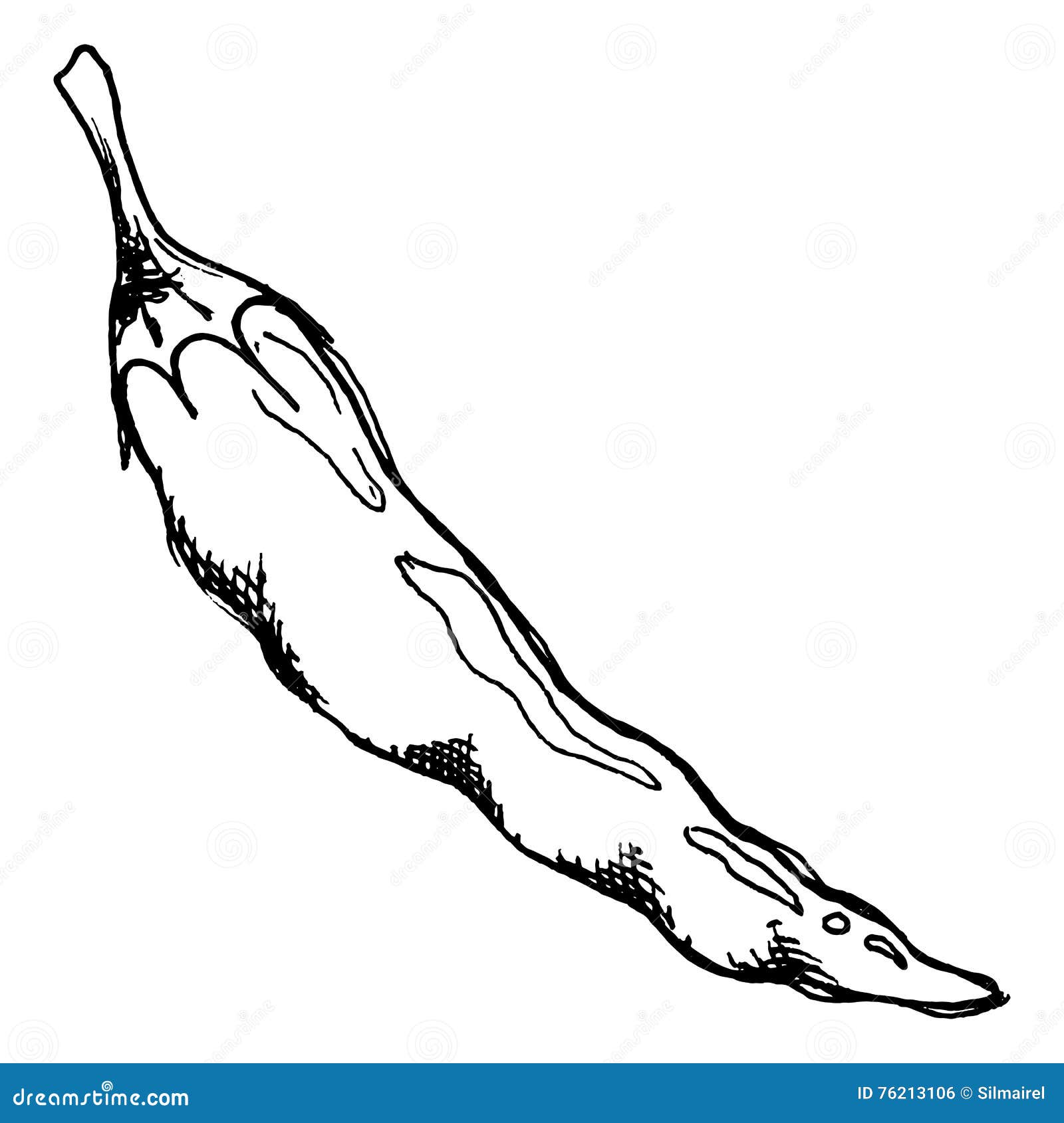 Monochrome Chili Pepper Spice Vegetable Line Art Vector Stock Vector