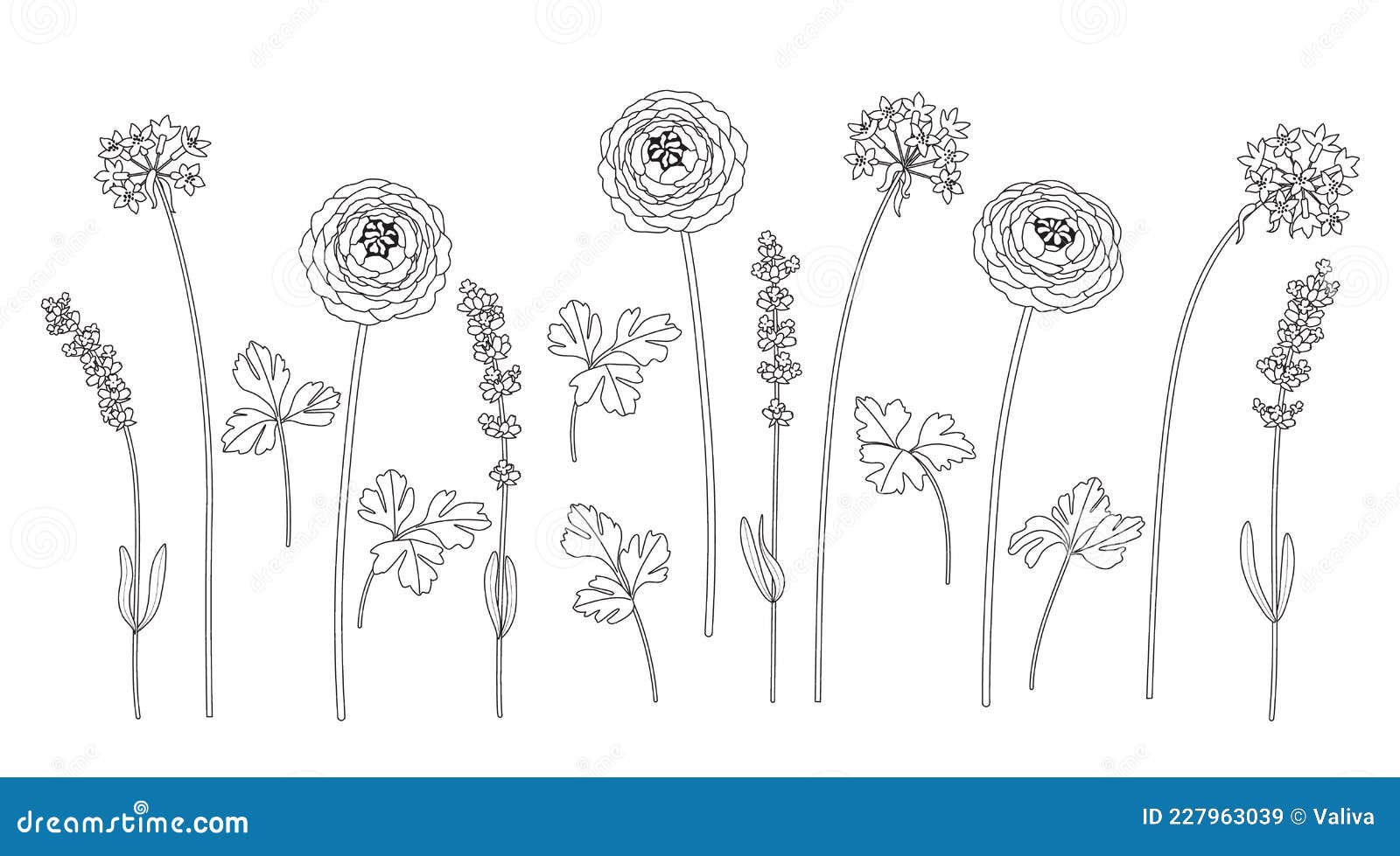 Learn To Draw Flowers With Shapes Lesson 1 - JSPCREATE