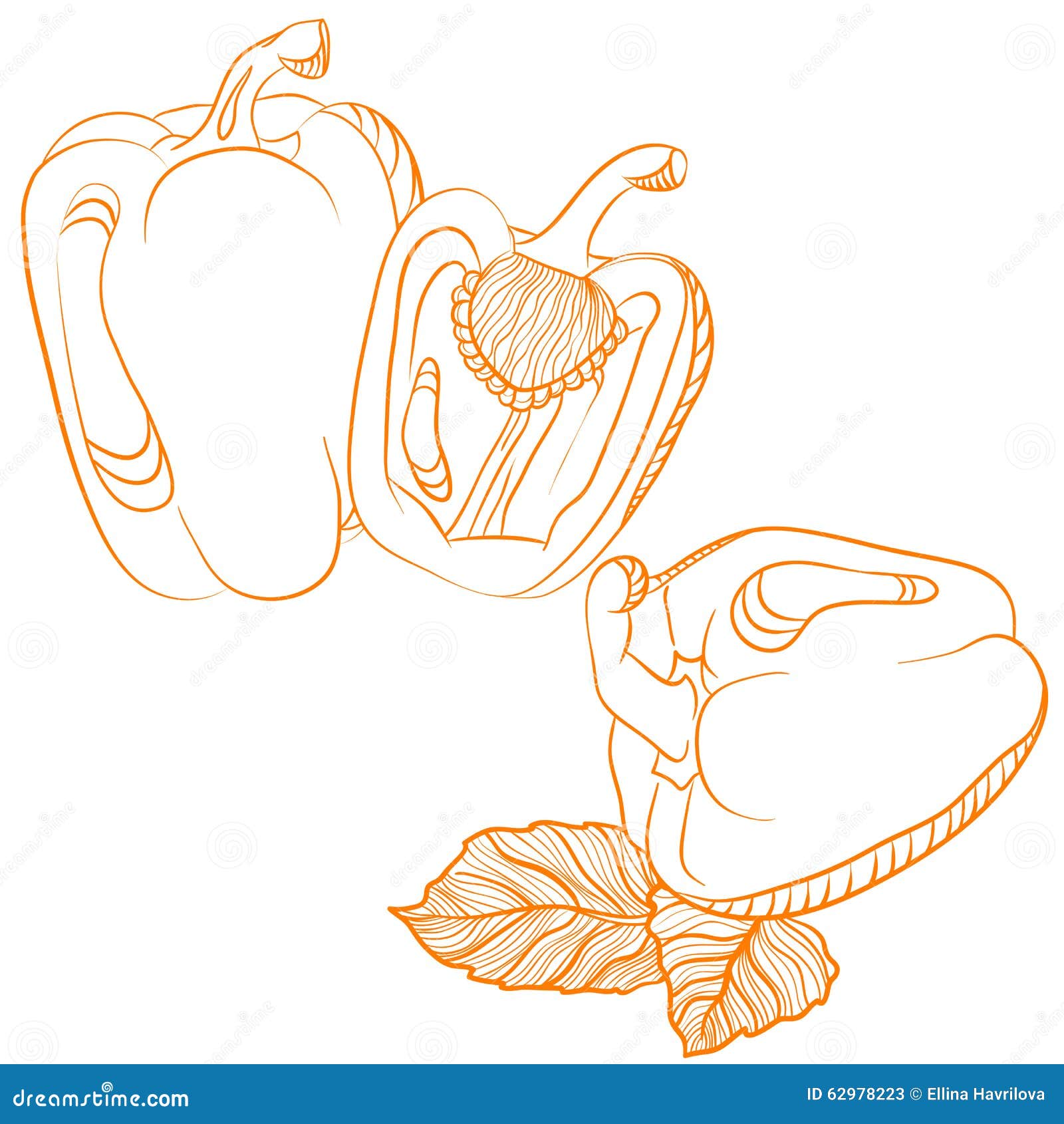 Monochrome Drawing of Paprika Stock Illustration Illustration of