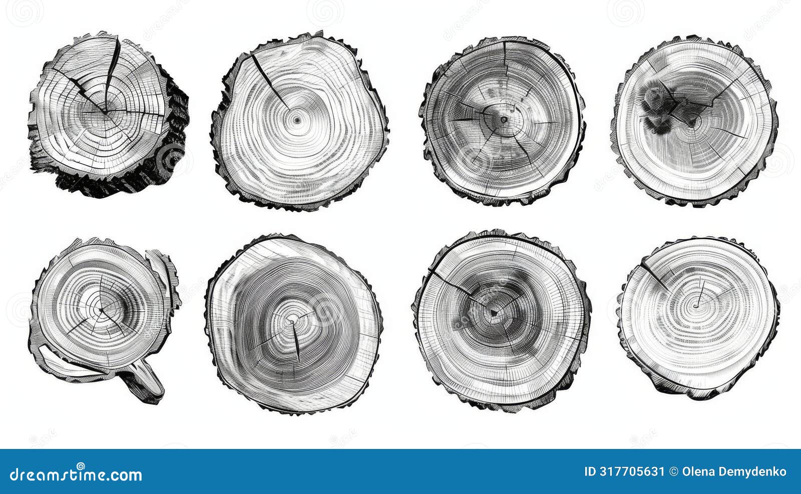 monochrome s of tree stump rings in a circle pattern