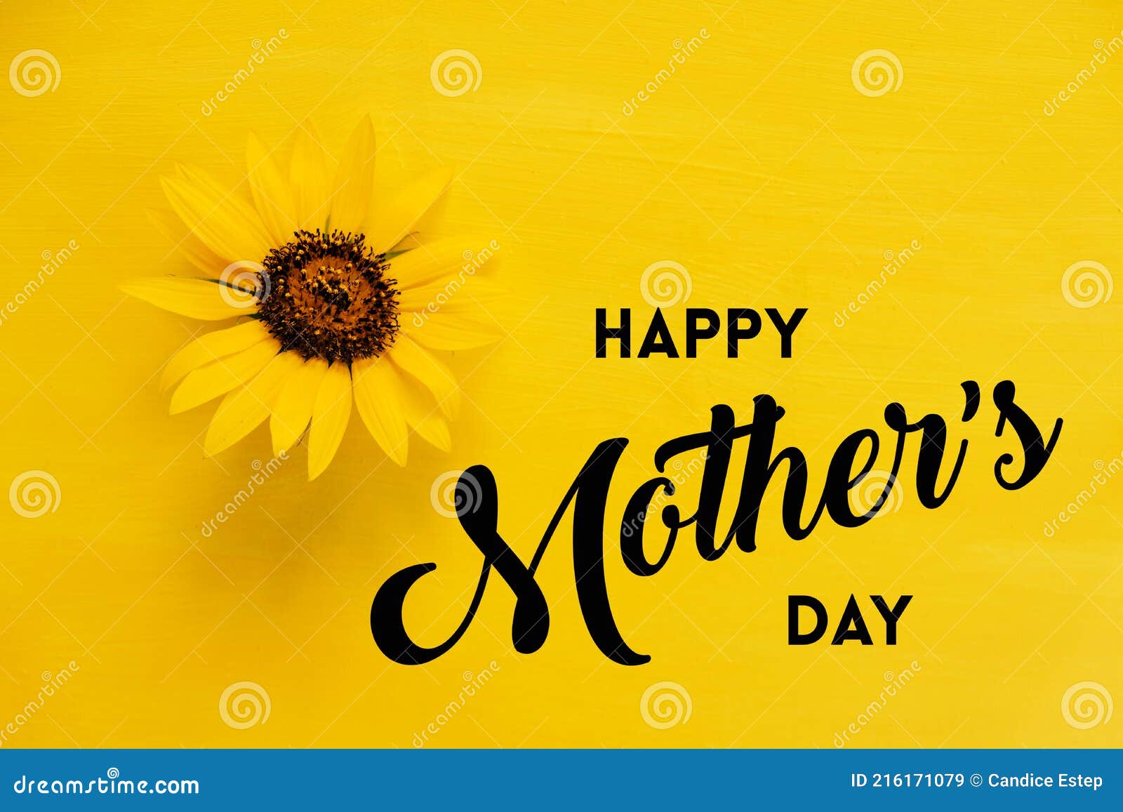 Happy Mothers Day Card with Sunflower on Monochrome Yellow Background ...