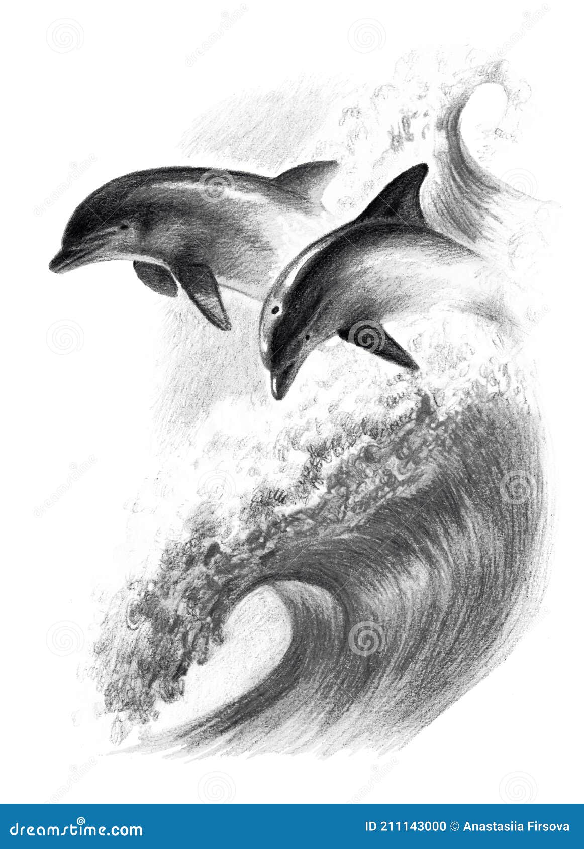 The baby dolphin Drawing by Deepanshu Pargain  Pixels