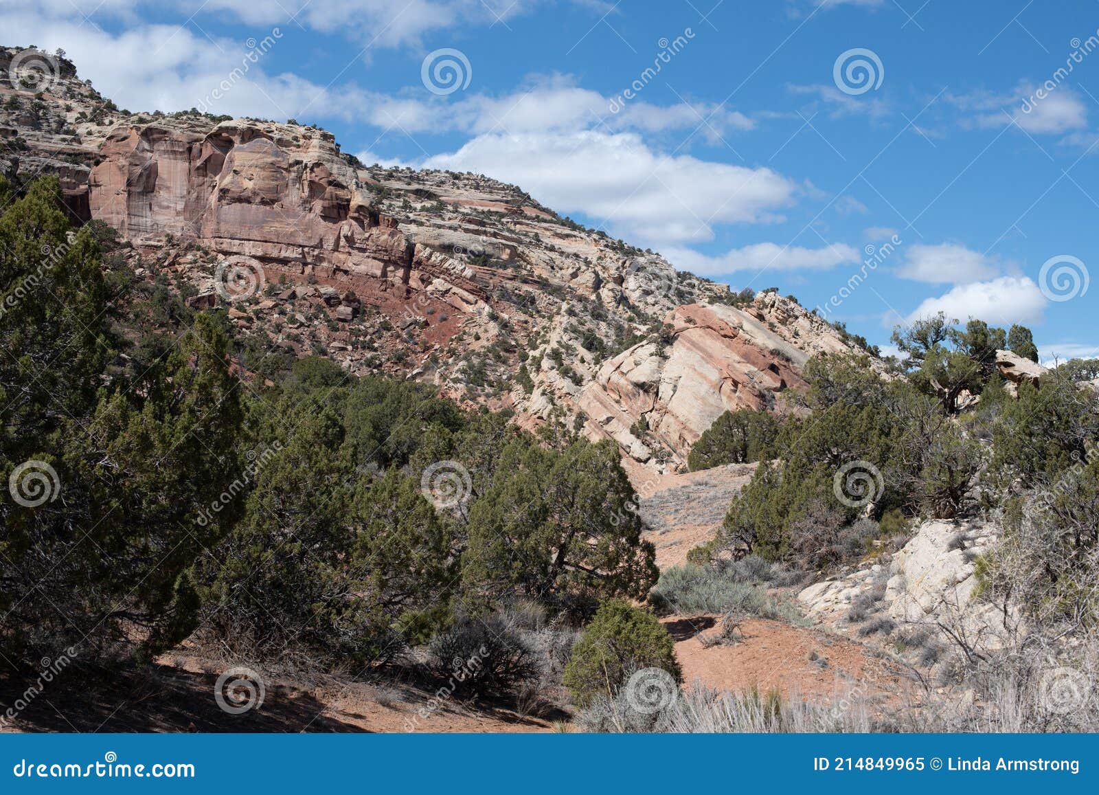 monocline near the no thoroughfare canyon picnic area in the colorado national monument