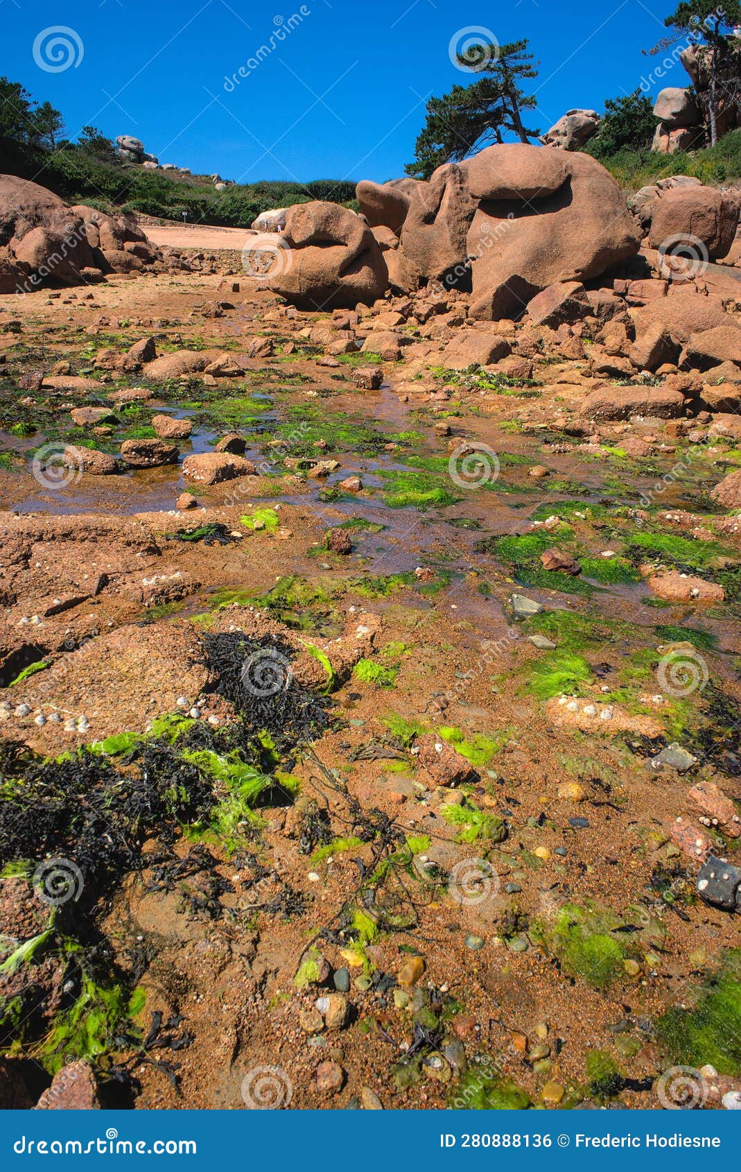 monolithic blocks of pink granite in the cotes d'armor in brittany, france