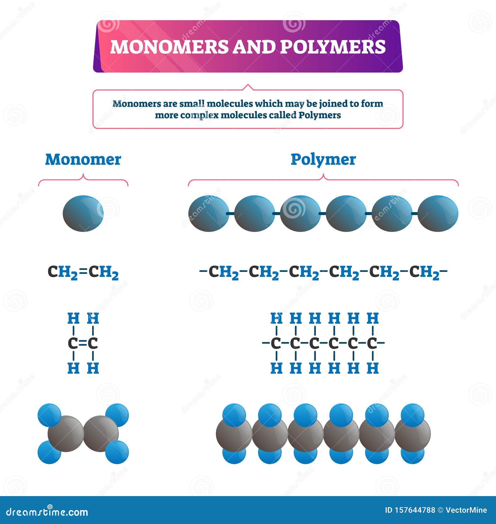 Polymers And Monomers Examples