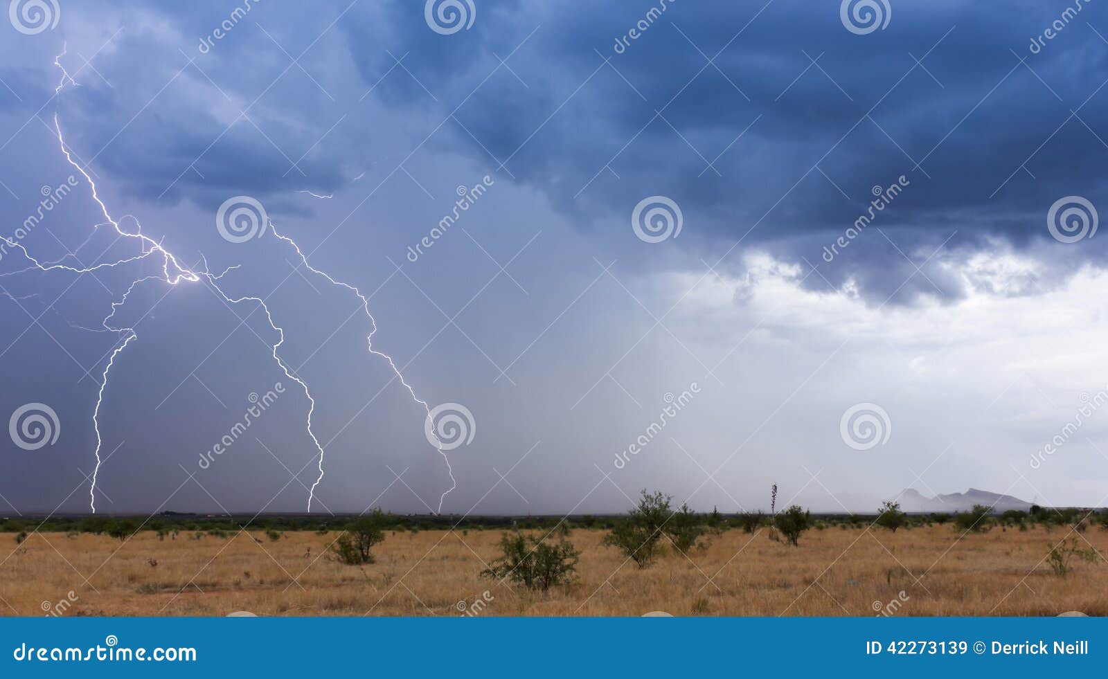 a monsoon storm moves across the desert