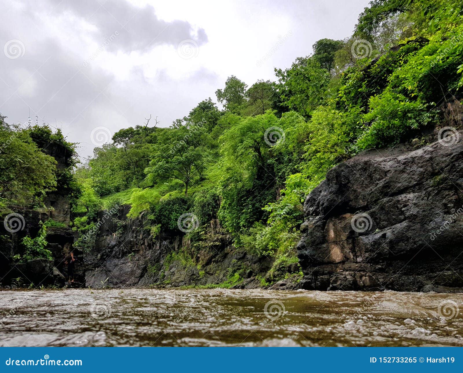 enjoy the nature river