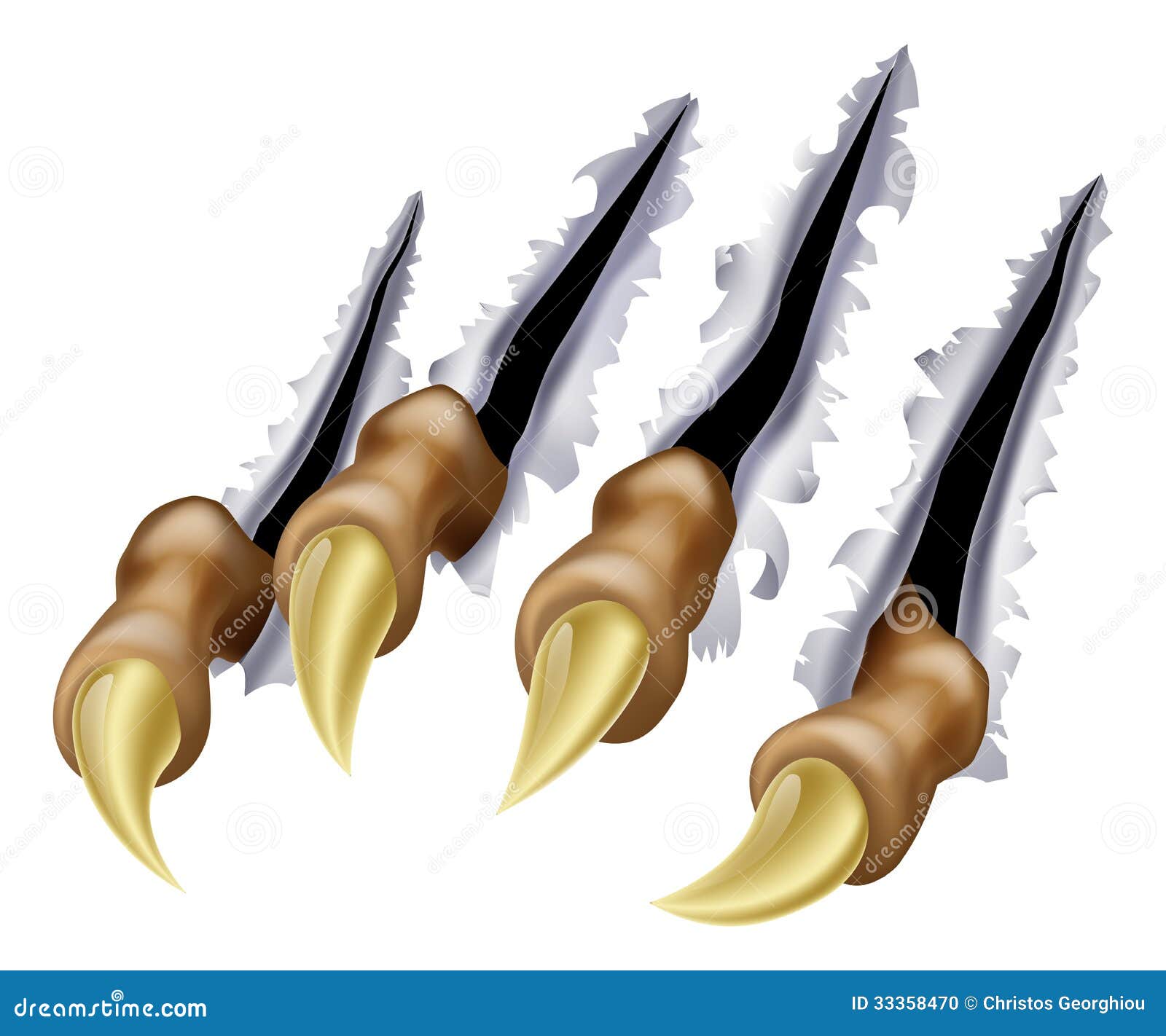 Talon Marks Stock Illustrations – 279 Talon Marks Stock