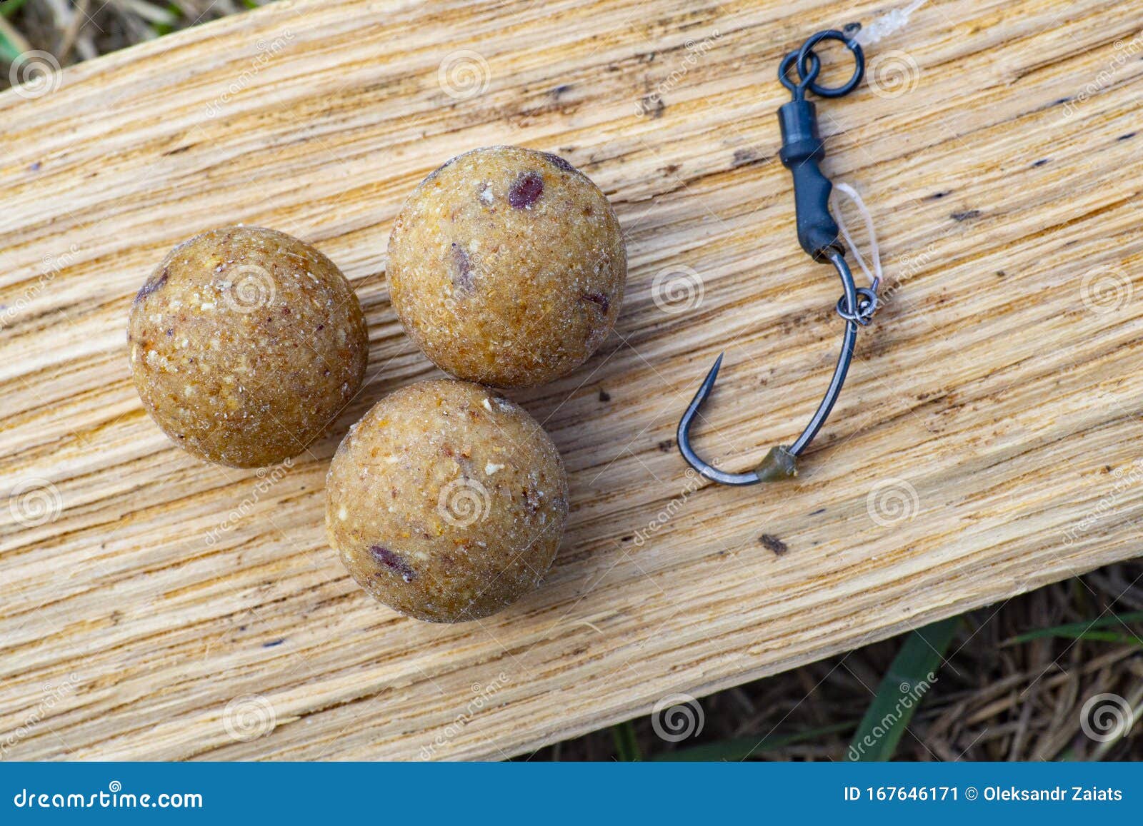 Monster Tigernut Boilies with Fishing Hook. Fishing Rig for Carps, Boilie  Rig, Near the Lake on a Piece of Wood Stock Image - Image of carps,  carpfishing: 167646171