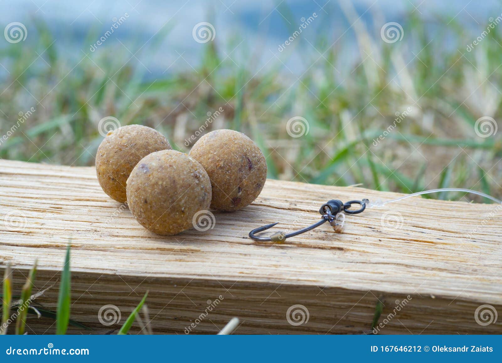 Monster Tigernut Boilies with Fishing Hook. Fishing Rig for Carps, Boilie  Rig, Near the Lake on a Piece of Wood Stock Photo - Image of grass, boiled:  167646212