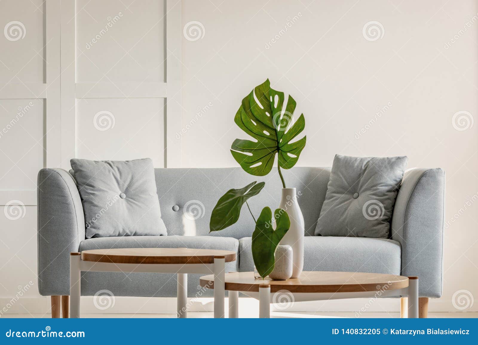 monstera deliciosa on coffee table and grey sofa in a simple living room interior