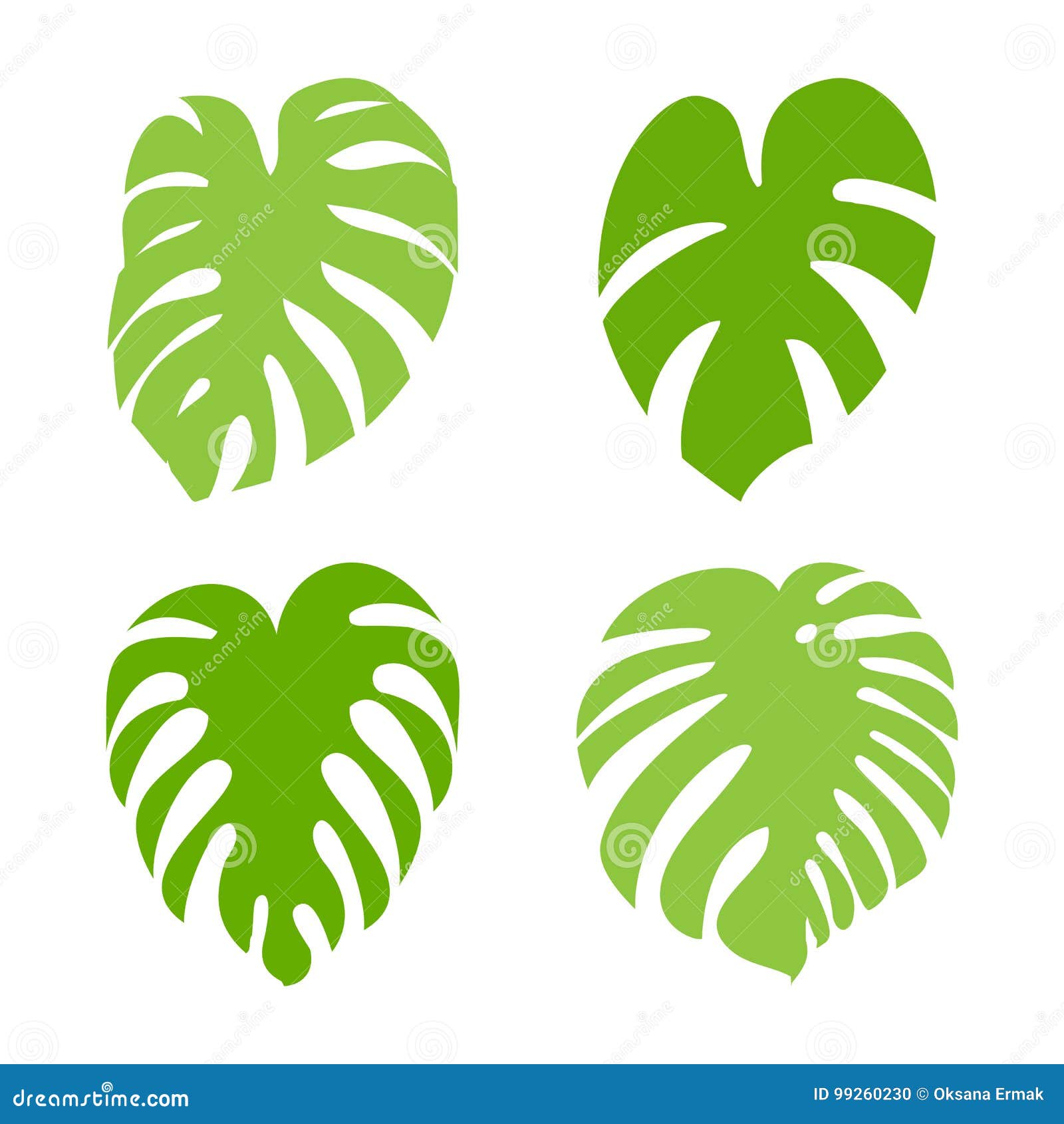 Monstera Icon Collection stock vector. Illustration of ...