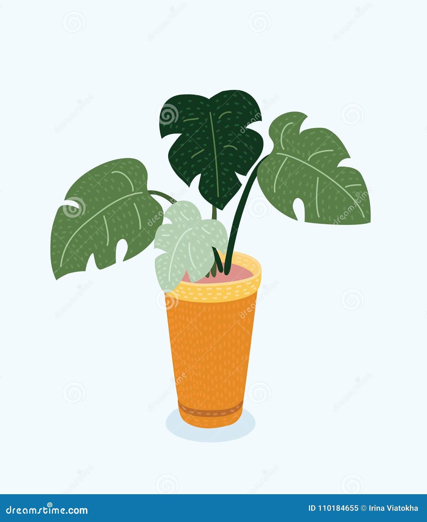 Monstera Plant in Pot. Hand Drawn Vector Illustration on White ...