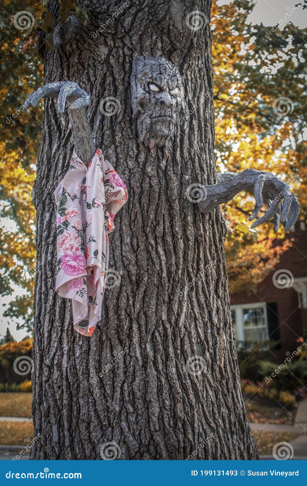 Monstre D'arbre De Halloween- Visage Et Mains De Décoration De Vacances  Montés Sur Le Tronc D'arbre Dans Le Quartier Avec La Robe Image stock -  Image du imagination, horrible: 199131493